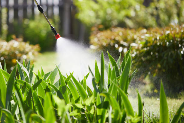 24/7 Emergency Mosquito Control experts in Monroe Manor, NJ