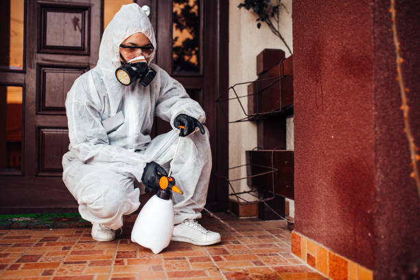 Reliable Mosquito Control contractor in Monroe Manor, NJ by Show Me Pest Control